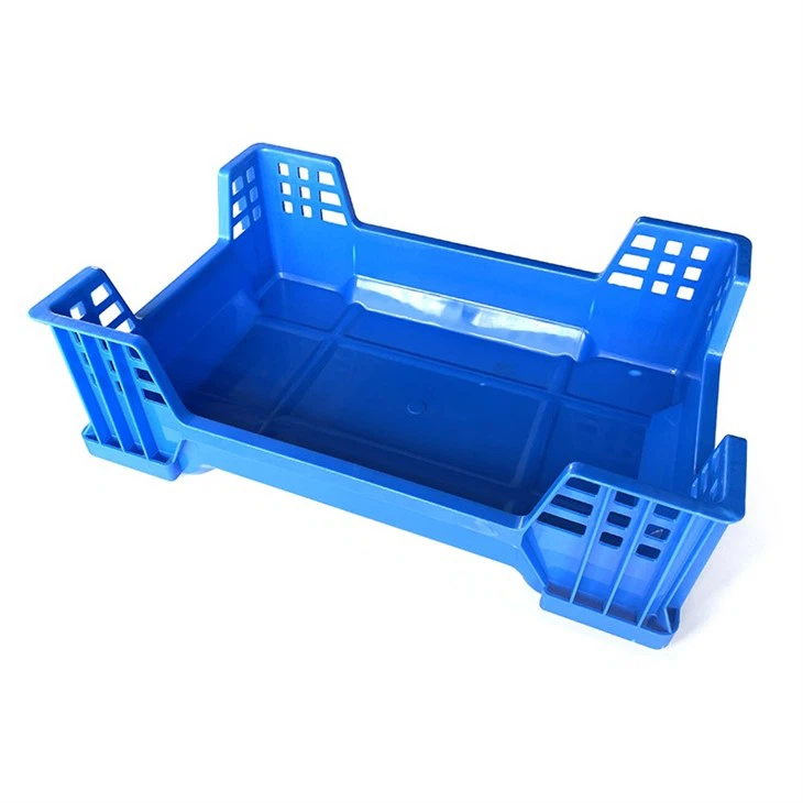 Black Soldier Fly Larvae Box supplier