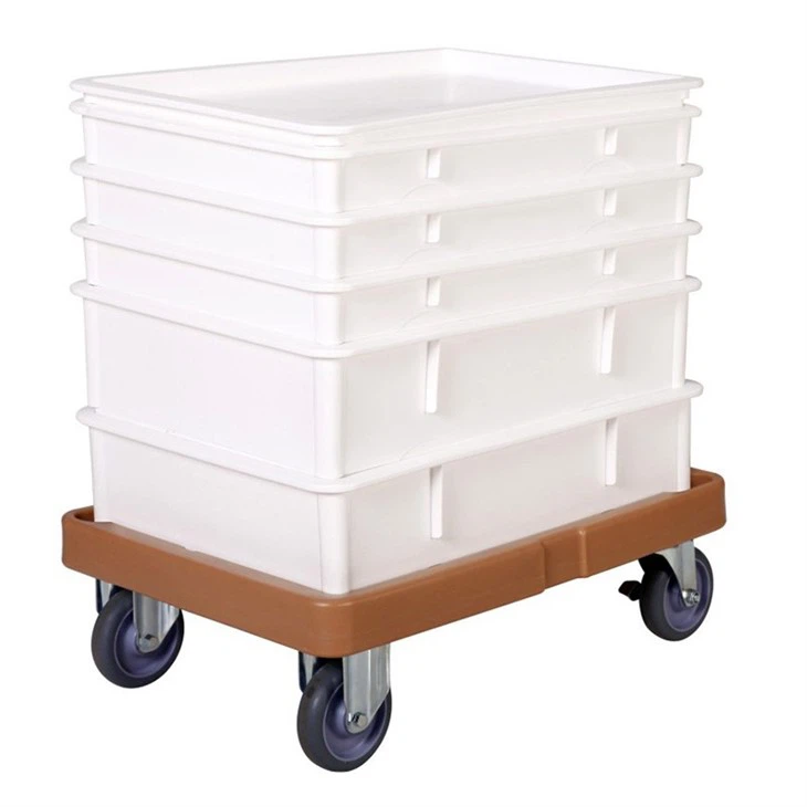 Dough Proofing Box supplier